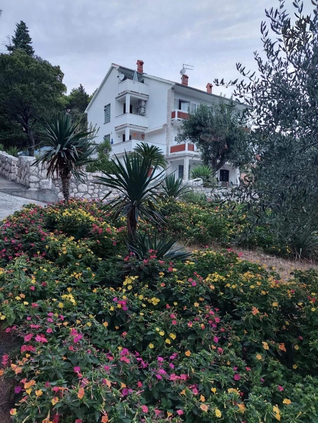 Milijana Apartments Rab ラブ エクステリア 写真